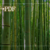 Excel→PDF