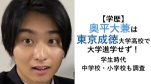 奥平大兼の学歴