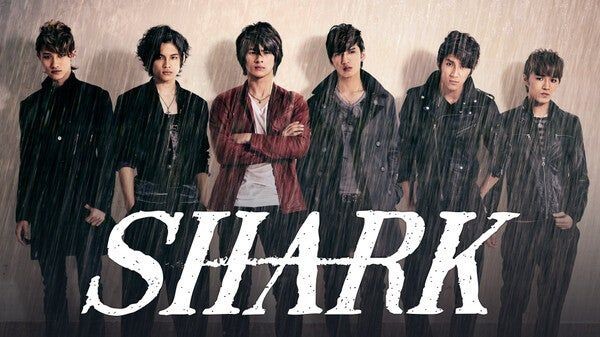 平野紫耀「SHARK」