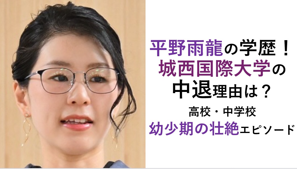 平野雨龍の学歴